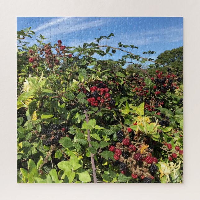 Puzzle Blackberries y miel en campiña inglesa (Vertical)