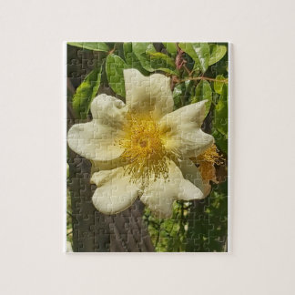 Puzzle Blanca flor