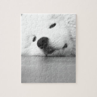 Puzzle Blanco del perro de la foto del samoyedo