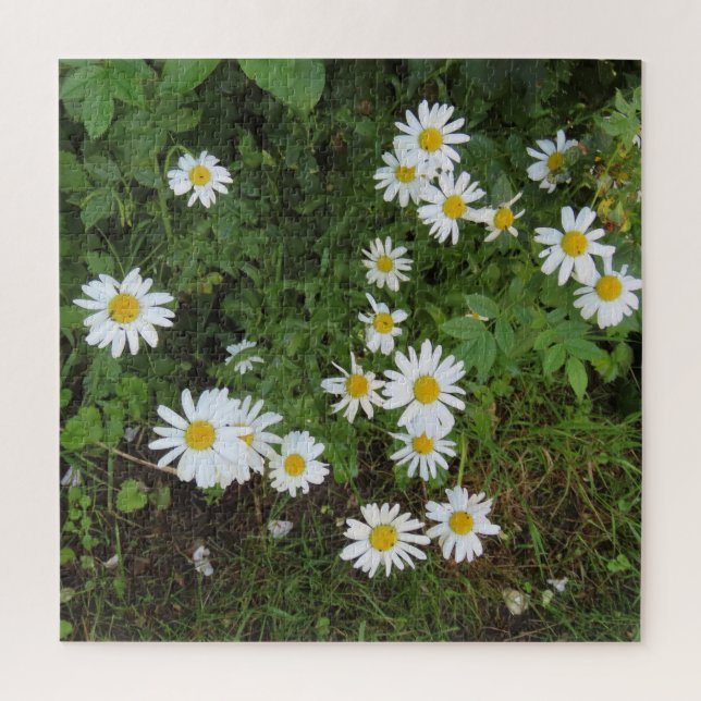 Puzzle blanco, fondo, flor, flor, naturaleza, verano, (Vertical)