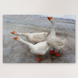 Puzzle Blanco geo