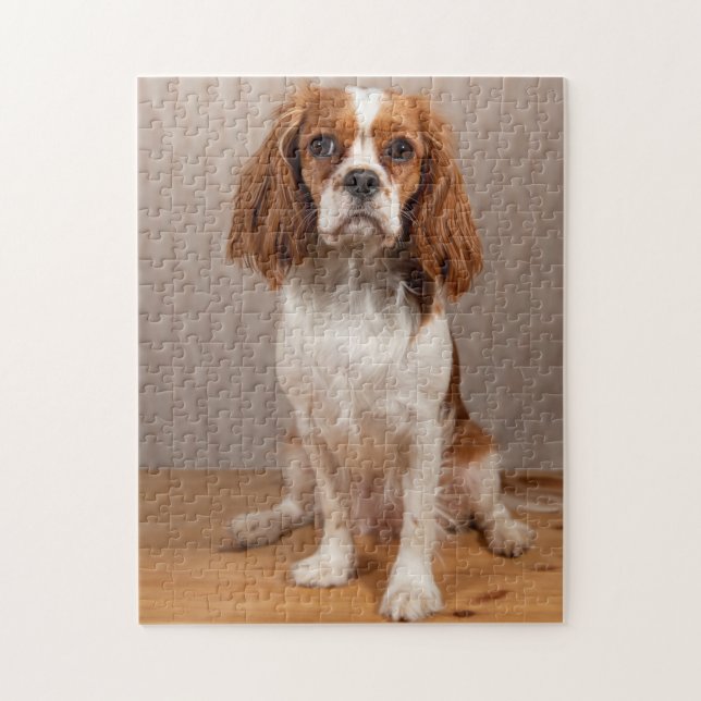 Puzzle Blenheim Cavalier King Charles Spaniel Perro de Ca (Vertical)