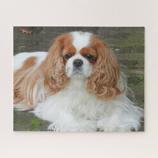 Puzzle Blenheim Cavalier King Charles Spaniel Puppy Dog J (Horizontal)
