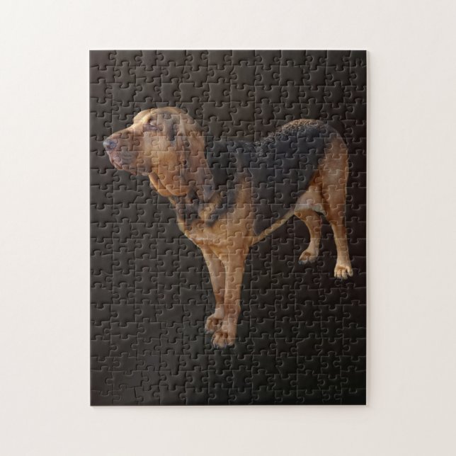 Puzzle Bloodhound (Vertical)