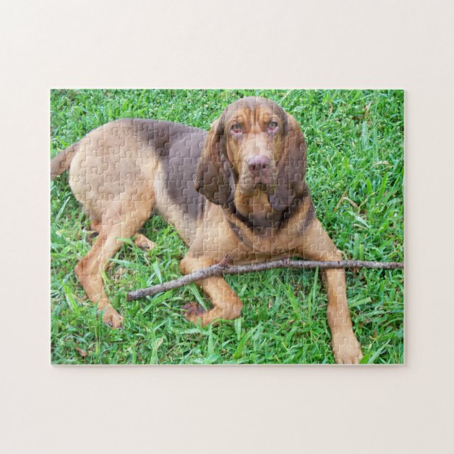 Puzzle Bloodhound con palo (Horizontal)