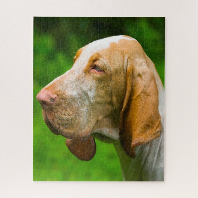 Puzzle Bloodhounds (Vertical)