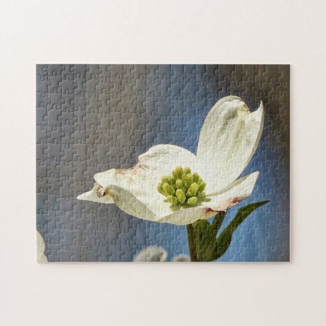 Puzzle Bloom de dogwood blanco (Horizontal)