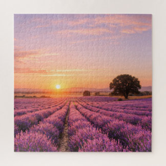 Puzzle Blooming Lavender Field at Golden Sunset Provence