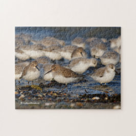 Puzzle Bloque de Dunlins y Sanderlings en la playa