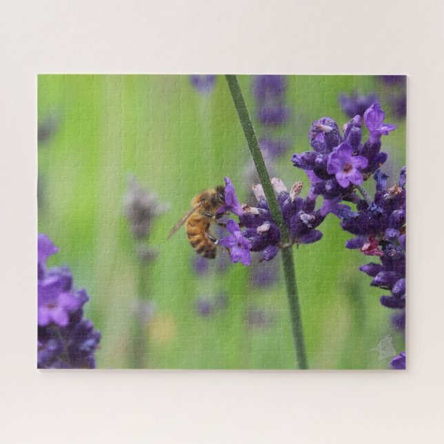 Puzzle Blossom de lavanda de cosecha de abejas de miel (Horizontal)