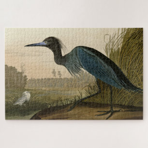 Puzzle Blue Crane, Heron, de los pájaros de América de Au