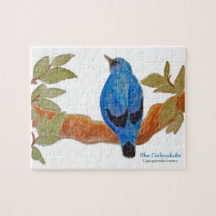 Puzzle Blue Cuckooshrike en Branch Watercolor Bird