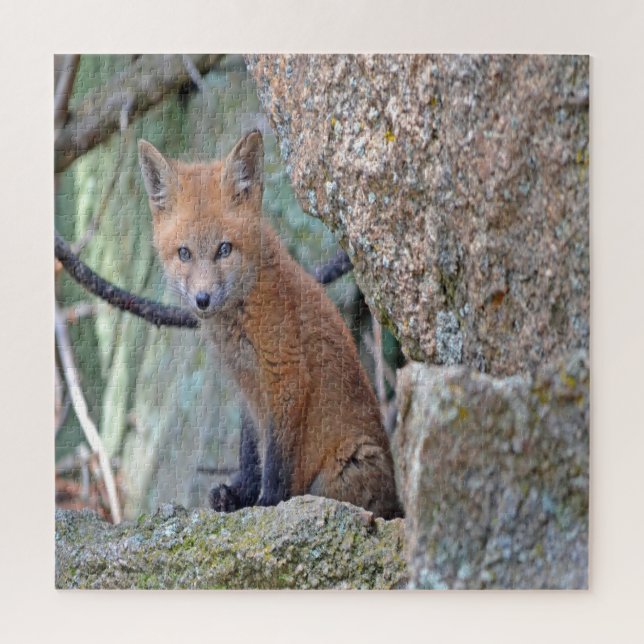 Puzzle Blue Eyed Baby Fox (Vertical)