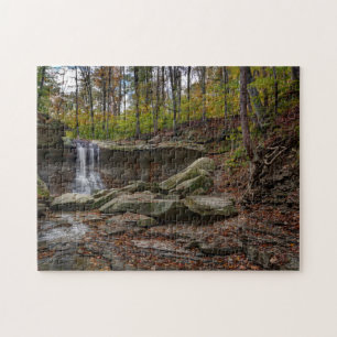Puzzle Blue Hen Falls