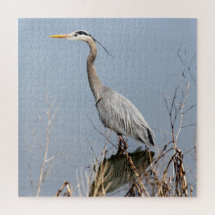 Puzzle Blue Heron and Fern Hill Wetlands
