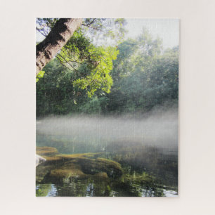 Puzzle Blue Hole Springs Florida Foggy Morning