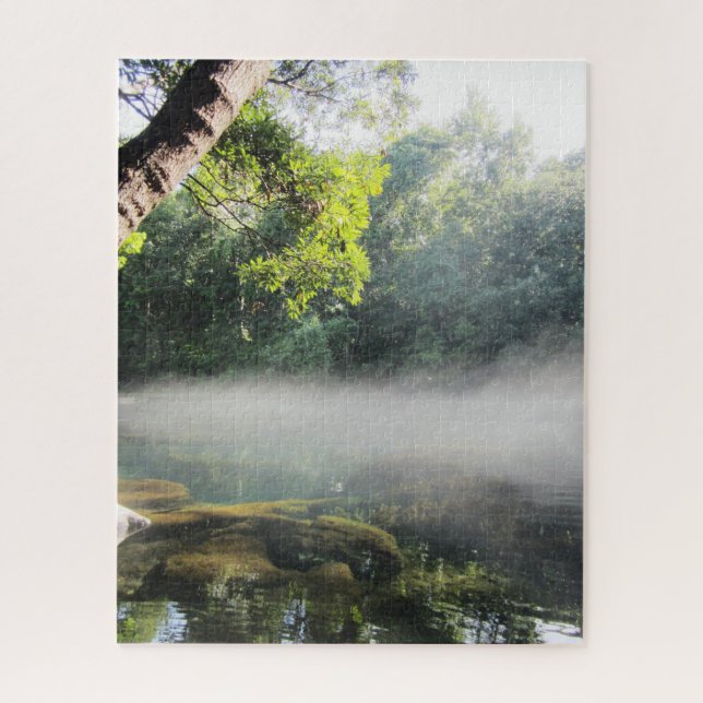 Puzzle Blue Hole Springs Florida Foggy Morning (Vertical)