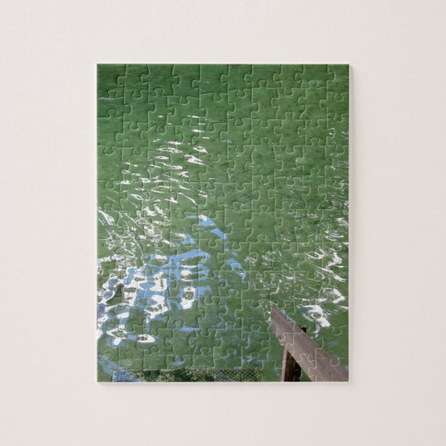 Puzzle Blue Springs Water Florida (Vertical)