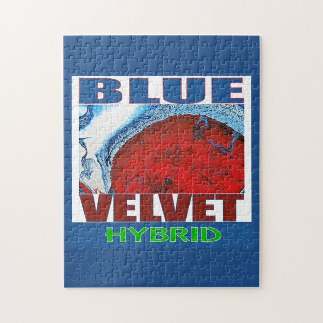 PUZZLE BLUE VELVET HYBRID (Vertical)