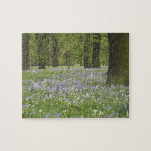 Puzzle Bluebells y robles en primavera, Pequeña Hagley