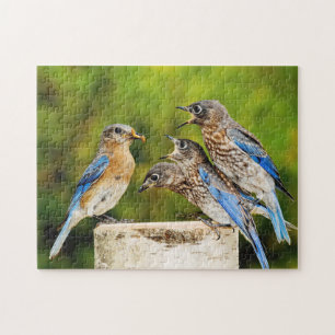 Puzzle Bluebird del este