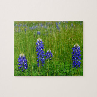 Puzzle Bluebonnets de Tejas