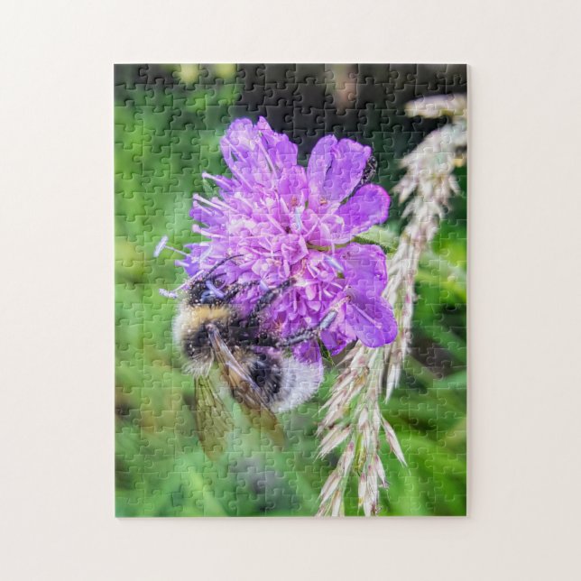 Puzzle Blütenglück – Naturpuzzle mit Hummel auf Skabiose (Vertical)