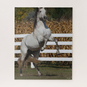 Puzzle Bob Langrish   Alcantarillado Gris Andaluz