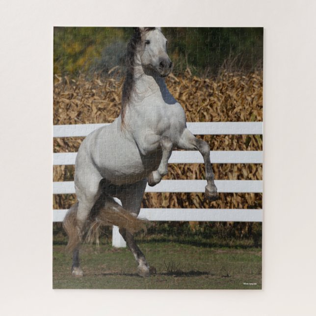 Puzzle Bob Langrish | Alcantarillado Gris Andaluz (Vertical)