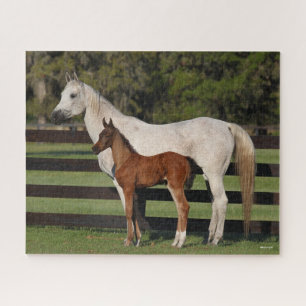 Puzzle Bob Langrish Arab Mare y Foot juntos