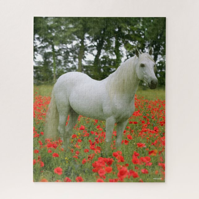 Puzzle Bob Langrish | Árabe gris de pie en flores rojas (Vertical)