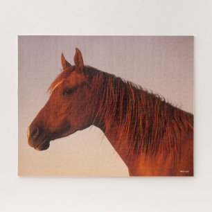 Puzzle Bob Langrish   Atardecer de cabeza del caballo ára