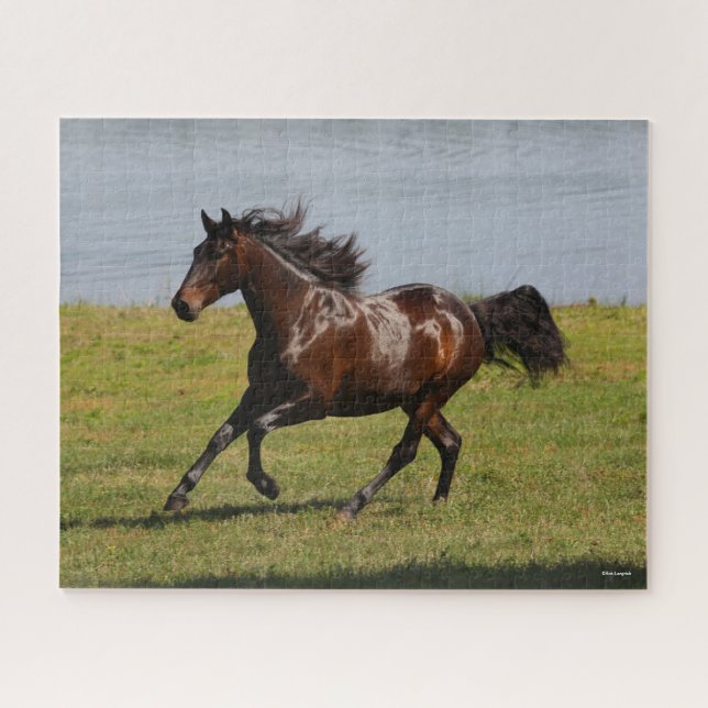 Puzzle Bob Langrish | Bahía Lusitano Mare Corriendo Cerca (Horizontal)