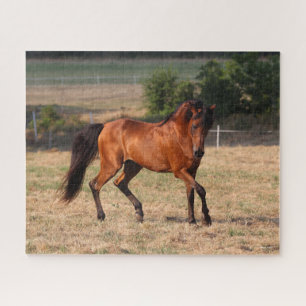 Puzzle Bob Langrish   Baile Árabe Walking