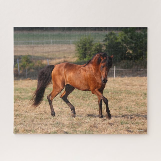 Puzzle Bob Langrish | Baile Árabe Walking (Horizontal)