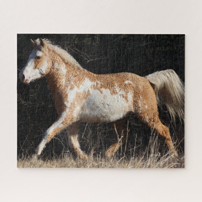 Puzzle Bob Langrish Bashkir Curly Horse Stallion Caminand (Horizontal)