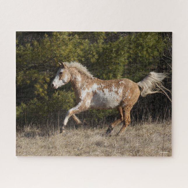 Puzzle Bob Langrish | Bashkir Curly Stallion Running (Horizontal)
