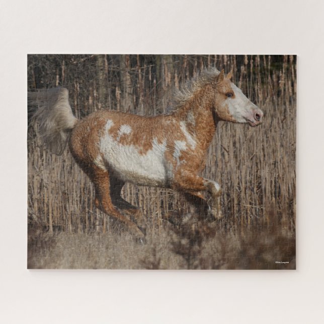 Puzzle Bob Langrish | Bashkir Curly Stallion Running (Horizontal)