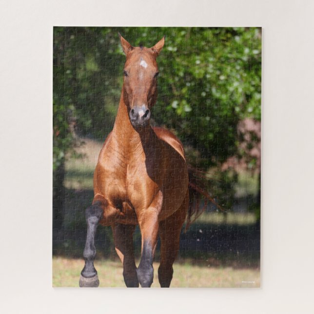 Puzzle Bob Langrish | Bay Akhal Teke Standing (Vertical)