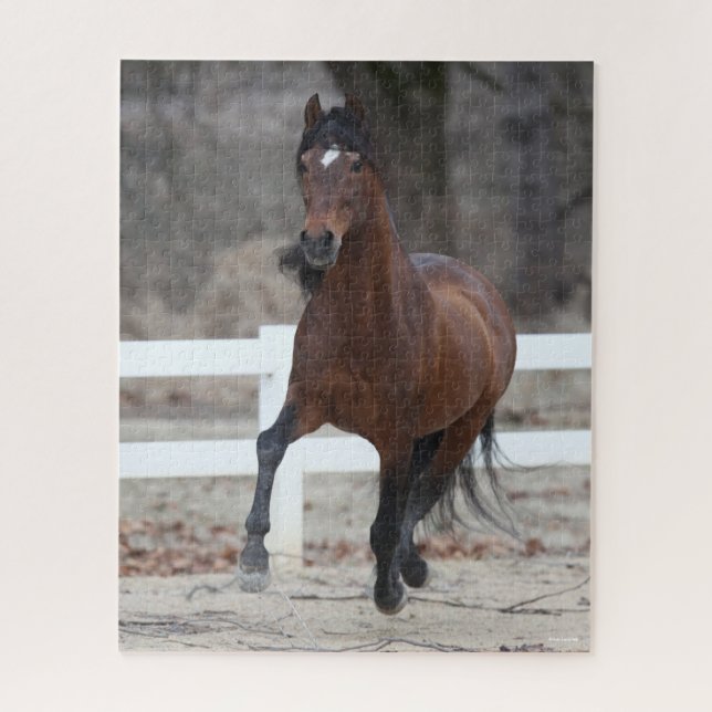 Puzzle Bob Langrish | Bay Andalucian Stallion Running (Vertical)