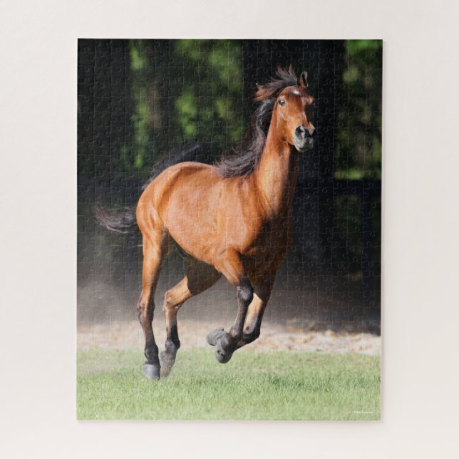 Puzzle Bob Langrish | Bay Tennessee Walker Running (Vertical)