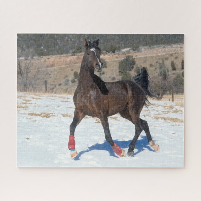 Puzzle Bob Langrish | Caballo árabe de Bahía Corriendo En (Horizontal)