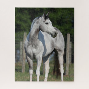 Puzzle Bob Langrish   Caballo De Barrio Gris De Arce