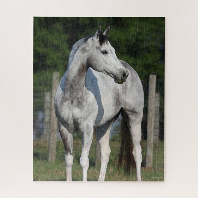 Puzzle Bob Langrish | Caballo De Barrio Gris De Arce (Vertical)