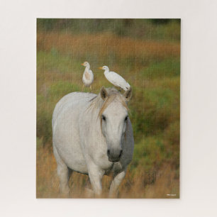 Puzzle Bob Langrish   Caballo de Camarga gris con dos ave