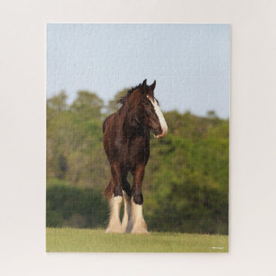 Puzzle Bob Langrish   Caballo De Camisas En Campo