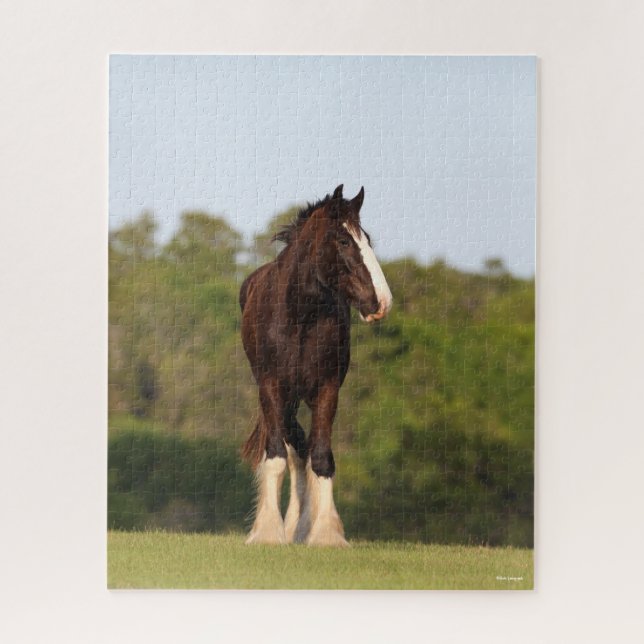 Puzzle Bob Langrish | Caballo De Camisas En Campo (Vertical)