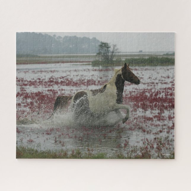 Puzzle Bob Langrish | Caballo De Chincoteague Corriendo E (Horizontal)
