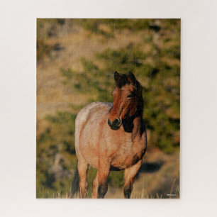 Puzzle Bob Langrish Caballo de Mustang