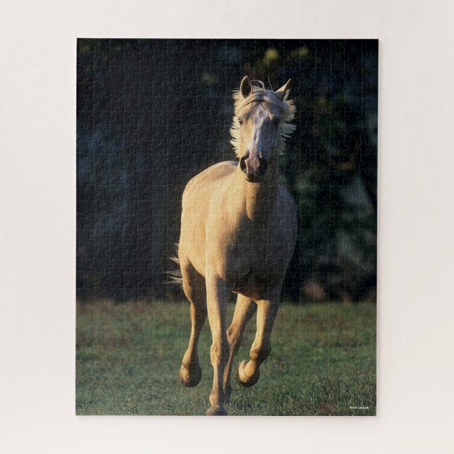 Puzzle Bob Langrish | Caballo de Palomino en retroilumina (Vertical)